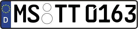 MS-TT0163