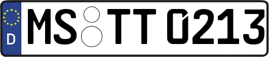 MS-TT0213