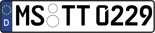 MS-TT0229