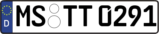 MS-TT0291