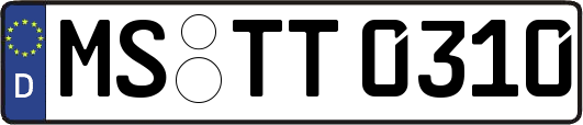 MS-TT0310