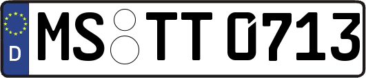 MS-TT0713