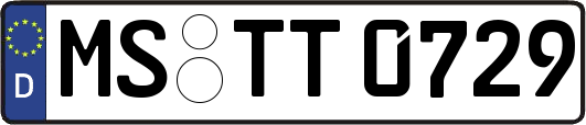 MS-TT0729