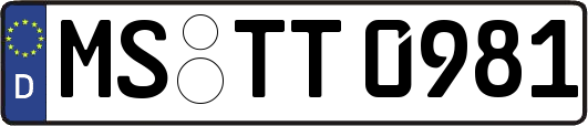 MS-TT0981