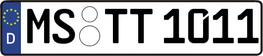 MS-TT1011