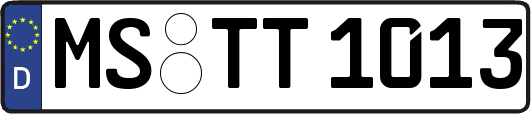 MS-TT1013
