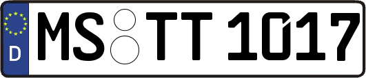 MS-TT1017