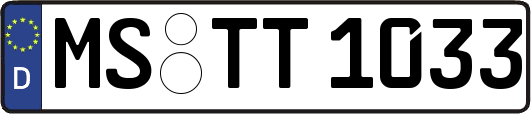 MS-TT1033