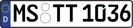 MS-TT1036