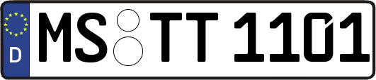 MS-TT1101