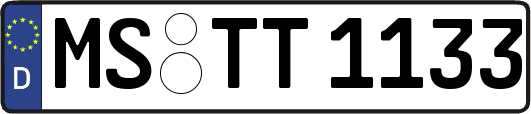 MS-TT1133