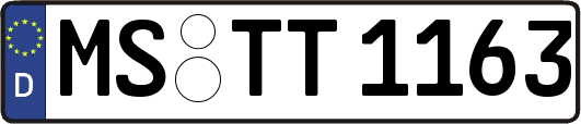MS-TT1163