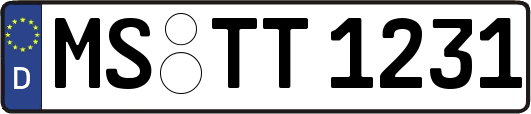 MS-TT1231