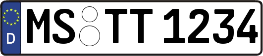 MS-TT1234