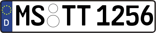 MS-TT1256