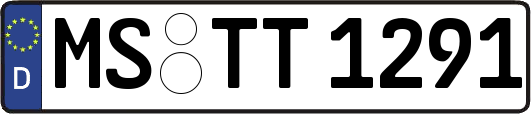 MS-TT1291