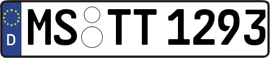MS-TT1293