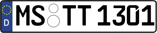 MS-TT1301