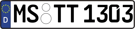 MS-TT1303