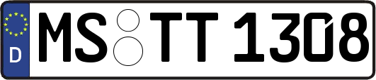 MS-TT1308