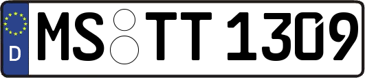 MS-TT1309