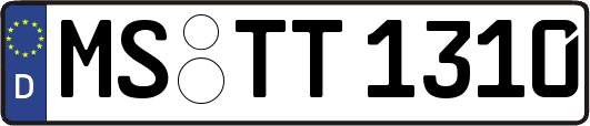 MS-TT1310