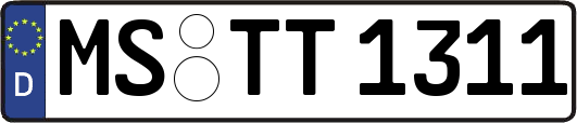 MS-TT1311