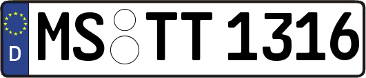MS-TT1316
