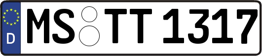 MS-TT1317