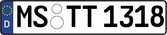 MS-TT1318