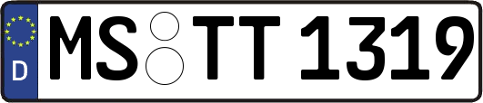 MS-TT1319
