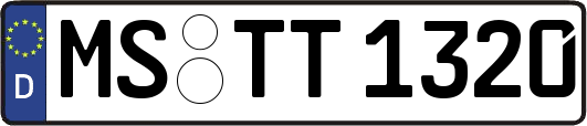 MS-TT1320