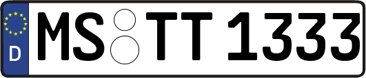 MS-TT1333