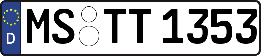 MS-TT1353