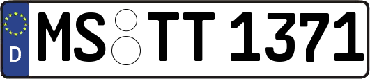 MS-TT1371