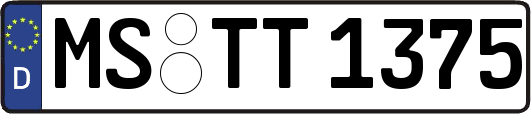 MS-TT1375