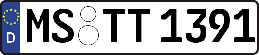 MS-TT1391