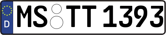 MS-TT1393