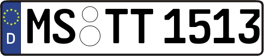 MS-TT1513