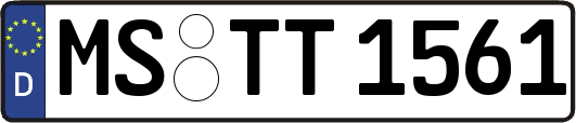 MS-TT1561