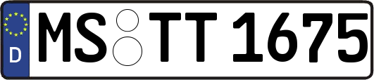 MS-TT1675