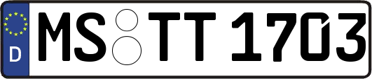 MS-TT1703