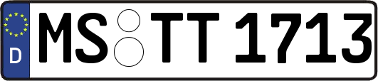 MS-TT1713