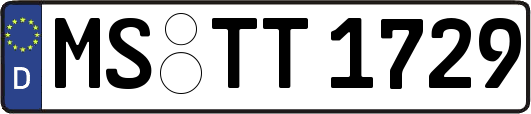 MS-TT1729