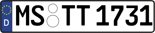MS-TT1731