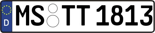 MS-TT1813