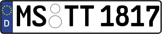 MS-TT1817