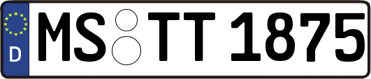 MS-TT1875