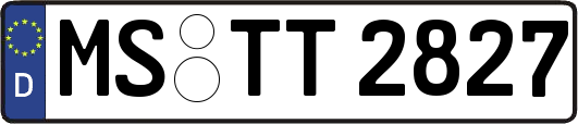 MS-TT2827