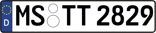 MS-TT2829